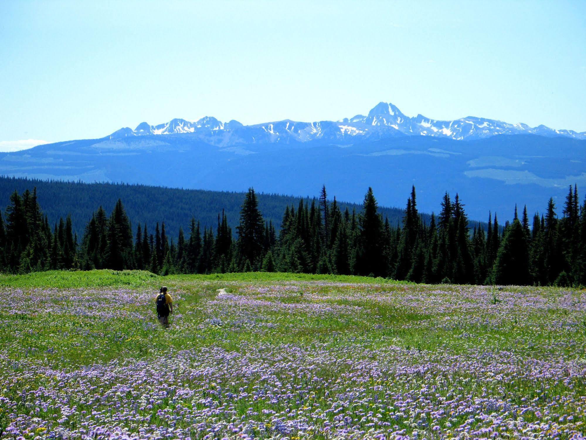 Wells Gray Guest Ranch Hotel Clearwater Exterior photo