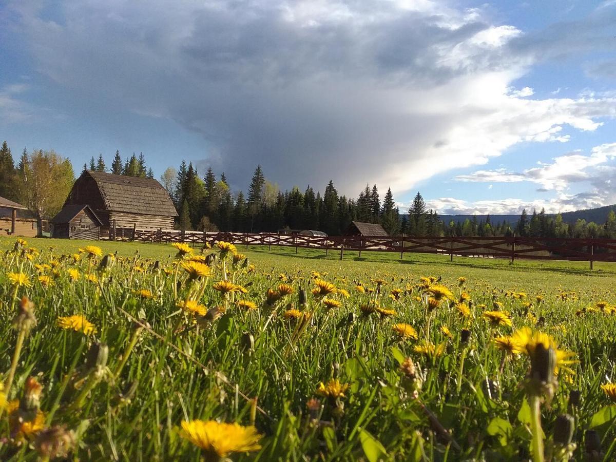 Wells Gray Guest Ranch Hotel Clearwater Exterior photo